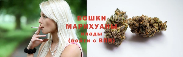 мдпв Нея