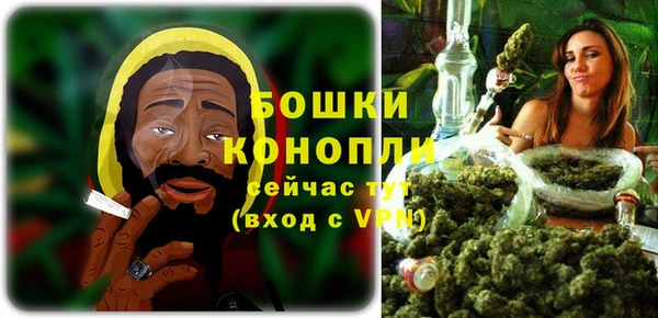 индика Ахтубинск