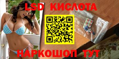 спайс Берёзовский