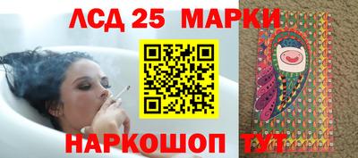 спайс Берёзовский