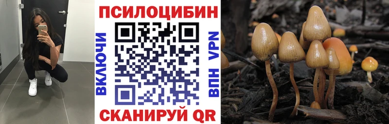 мориарти официальный сайт  Большой Камень  Псилоцибиновые грибы Psilocybe  закладка 