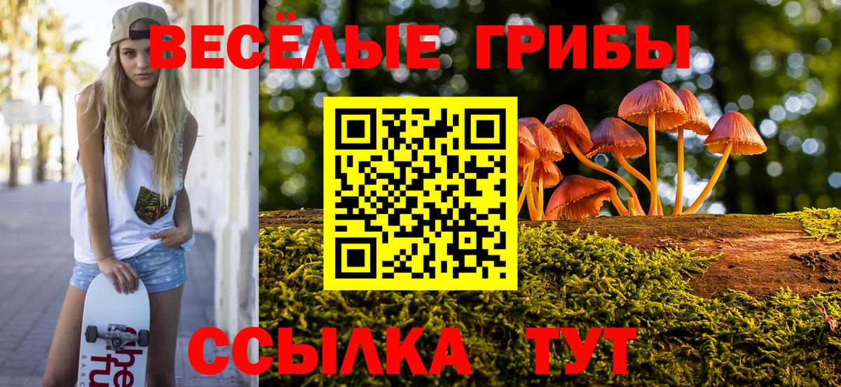 Галлюциногенные грибы ЛСД Большой Камень