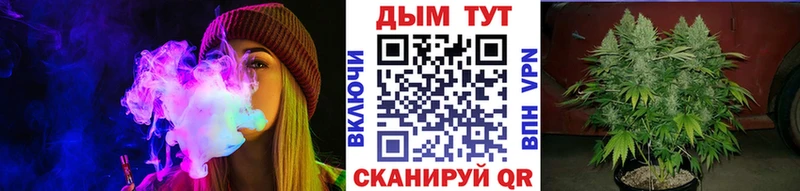 Каннабис White Widow Большой Камень